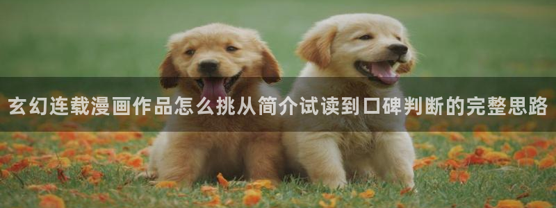 漫画官网：玄幻连载漫画作品怎么挑从简介试读到口碑判断的完整思路