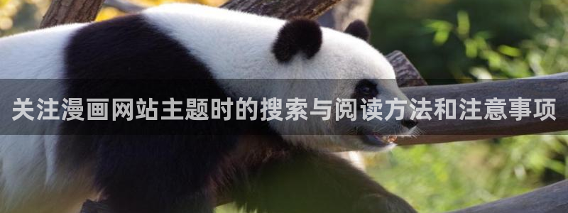 最新韩漫：关注漫画网站主题时的搜索与阅读方法和注意事项