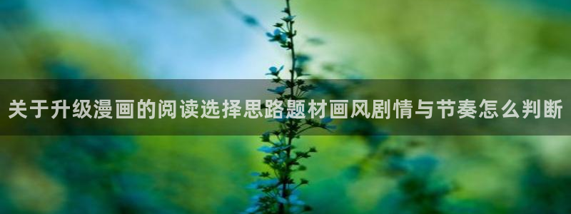 喵屋漫画：关于升级漫画的阅读选择思路题材画风剧情与节奏怎么判断